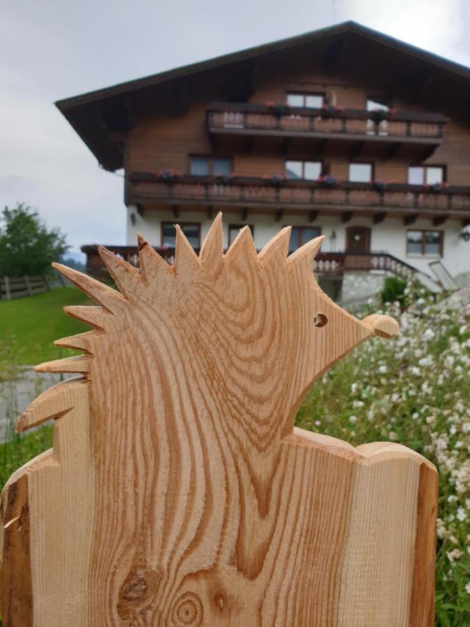 Ahlhof Villa Schladming Exterior photo